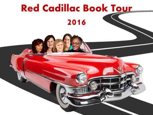 Red Cadillac Book Tour 2016 Irfan